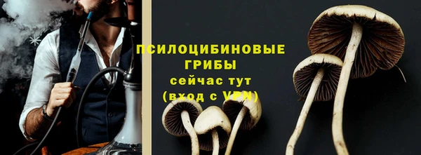COCAINE Белокуриха