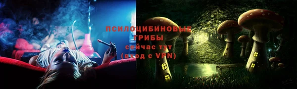экстази Богданович