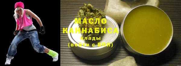 mix Богородицк