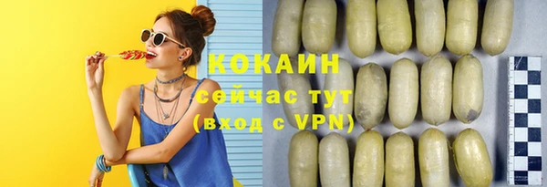 индика Богородск