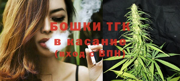 экстази Богданович