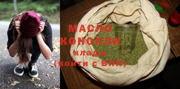индика Богородск