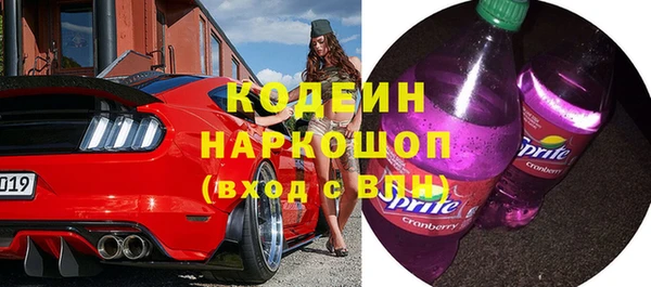 индика Богородск