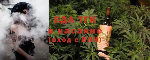 индика Богородск