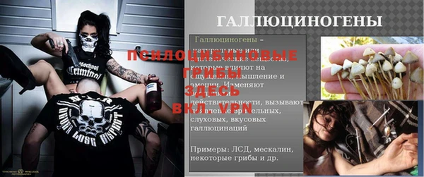 индика Богородск